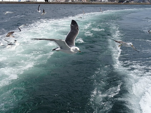 b0299042_15033449.jpg