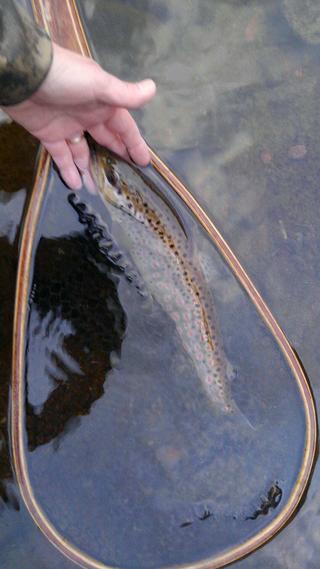 e0202845_20350311.jpg