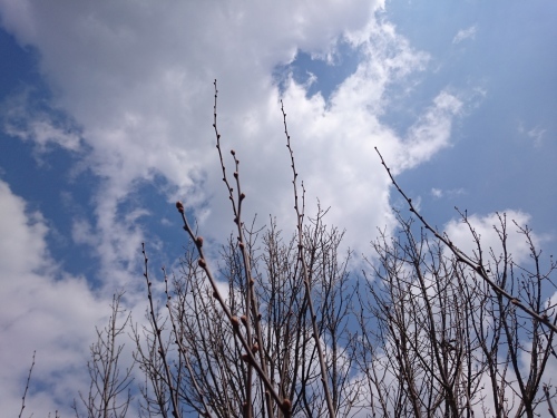 f0326946_01341929.jpg
