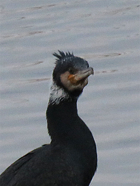 f0214649_04393761.jpg