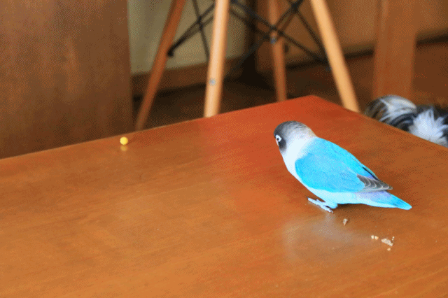 c0145250_10085209.gif