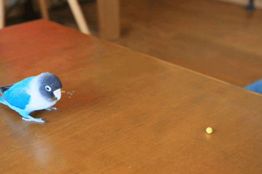 c0145250_10095264.gif