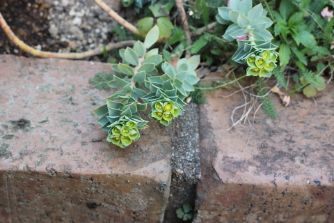 c0175756_09432101.jpg