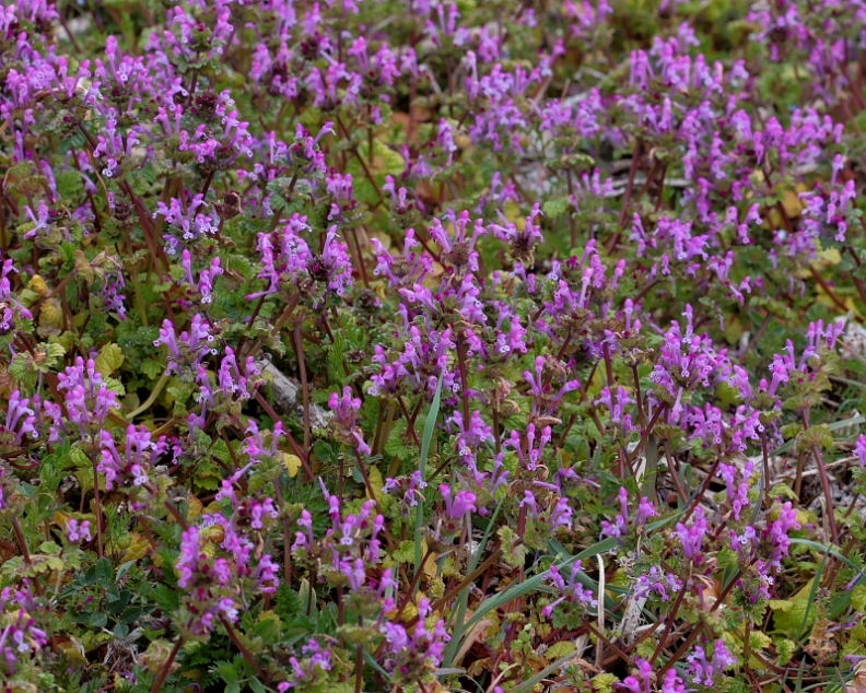 c0305565_18085065.jpg