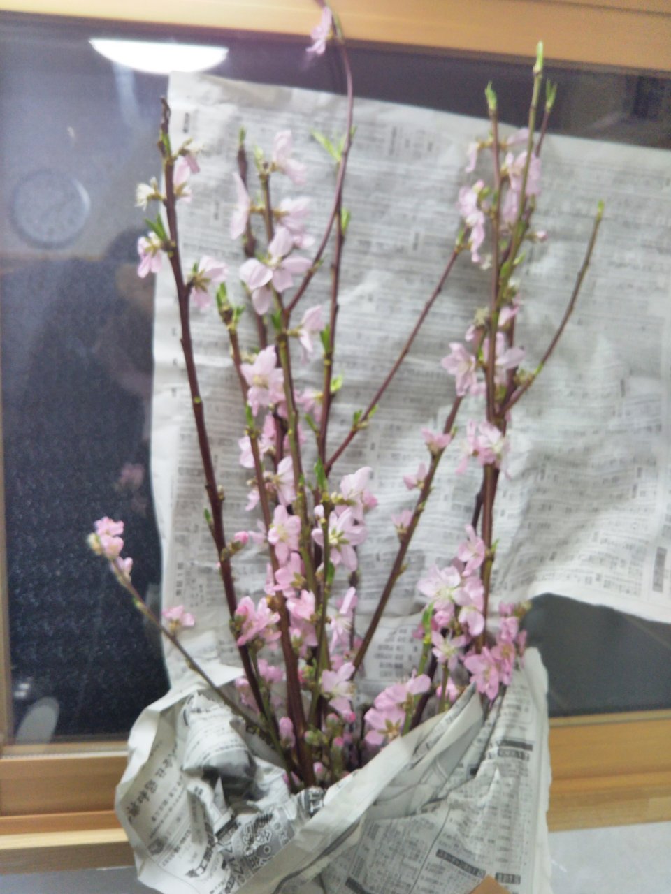 f0208665_515157.jpg