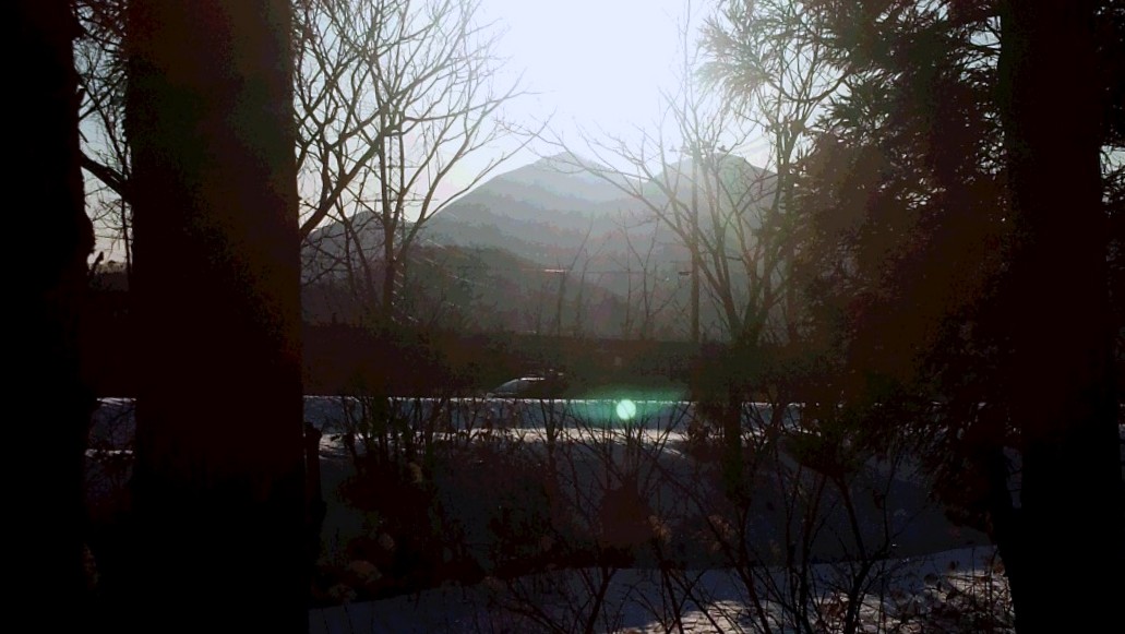 b0063468_1255198.jpg