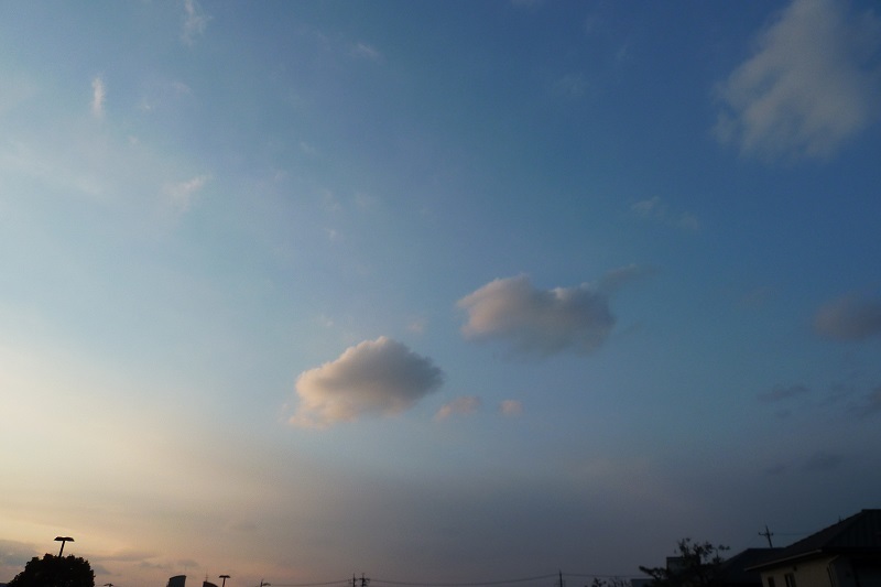 b0326576_22232593.jpg