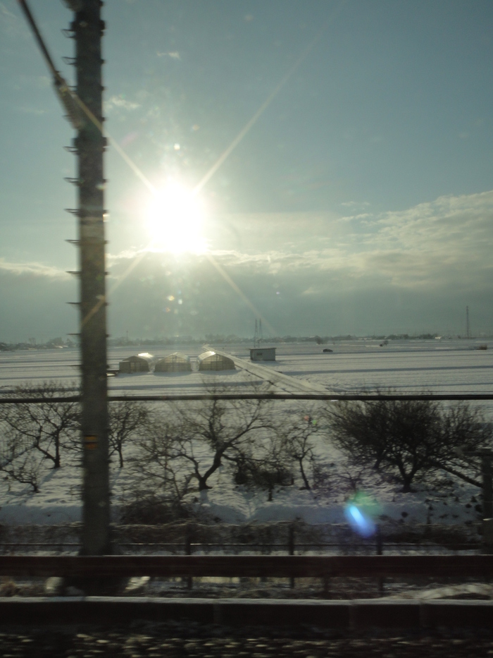 f0238779_12252391.jpg