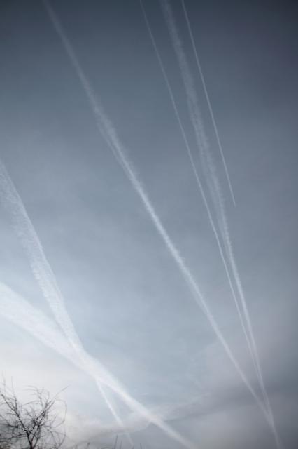 c0356480_19201293.jpg