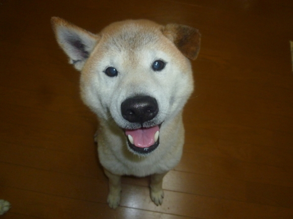 c0123890_18434478.jpeg