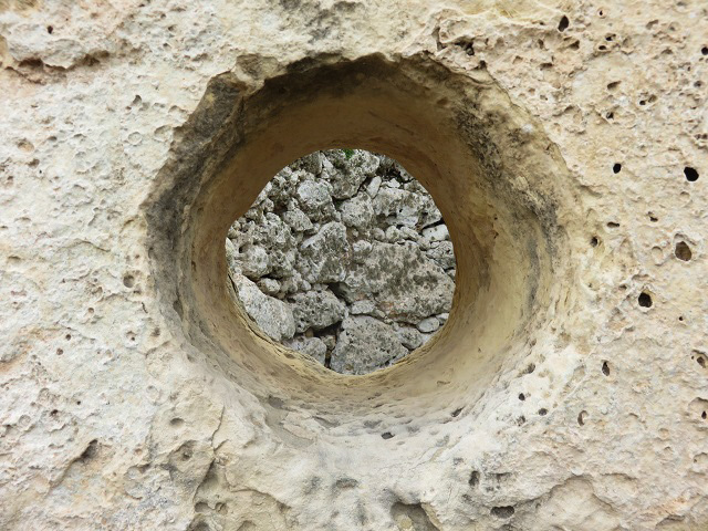 f0346196_17475459.jpg
