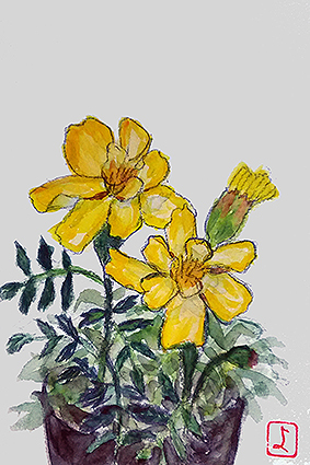 f0008597_20220395.jpg