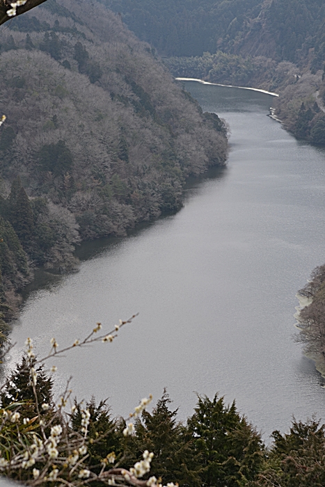 a0240403_847833.jpg