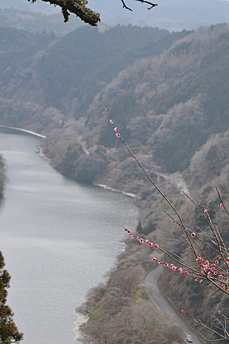a0240403_924471.jpg