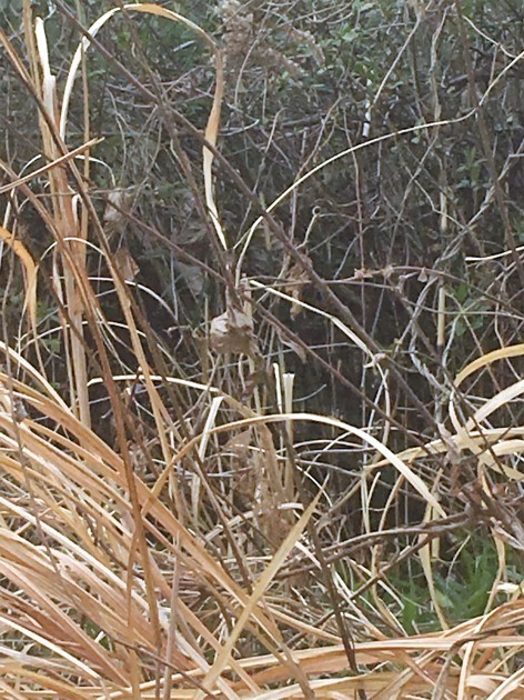 e0131910_00015730.jpg