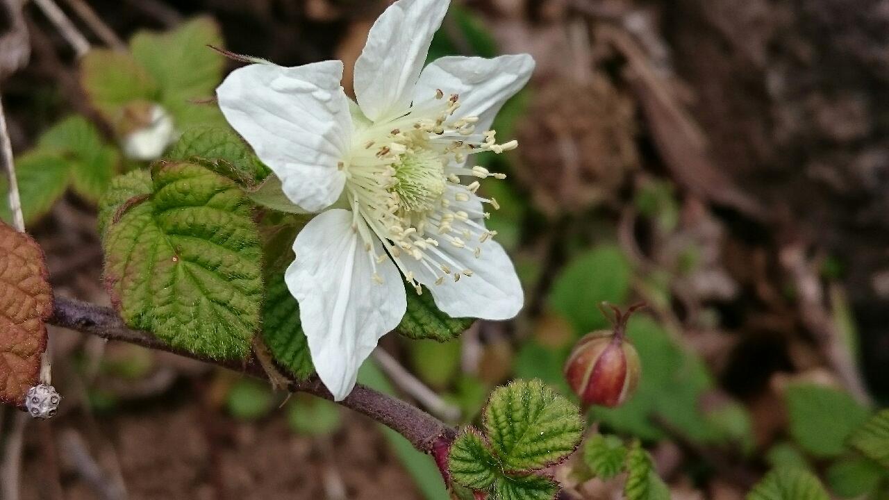 e0350415_23075072.jpg