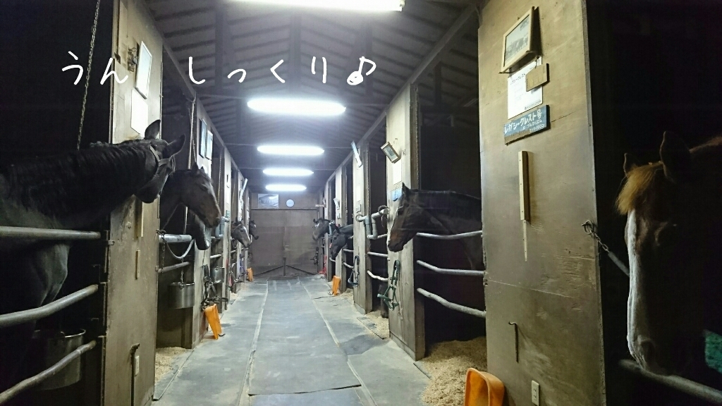 b0187620_20540135.jpg