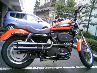 a0321323_00522703.jpg