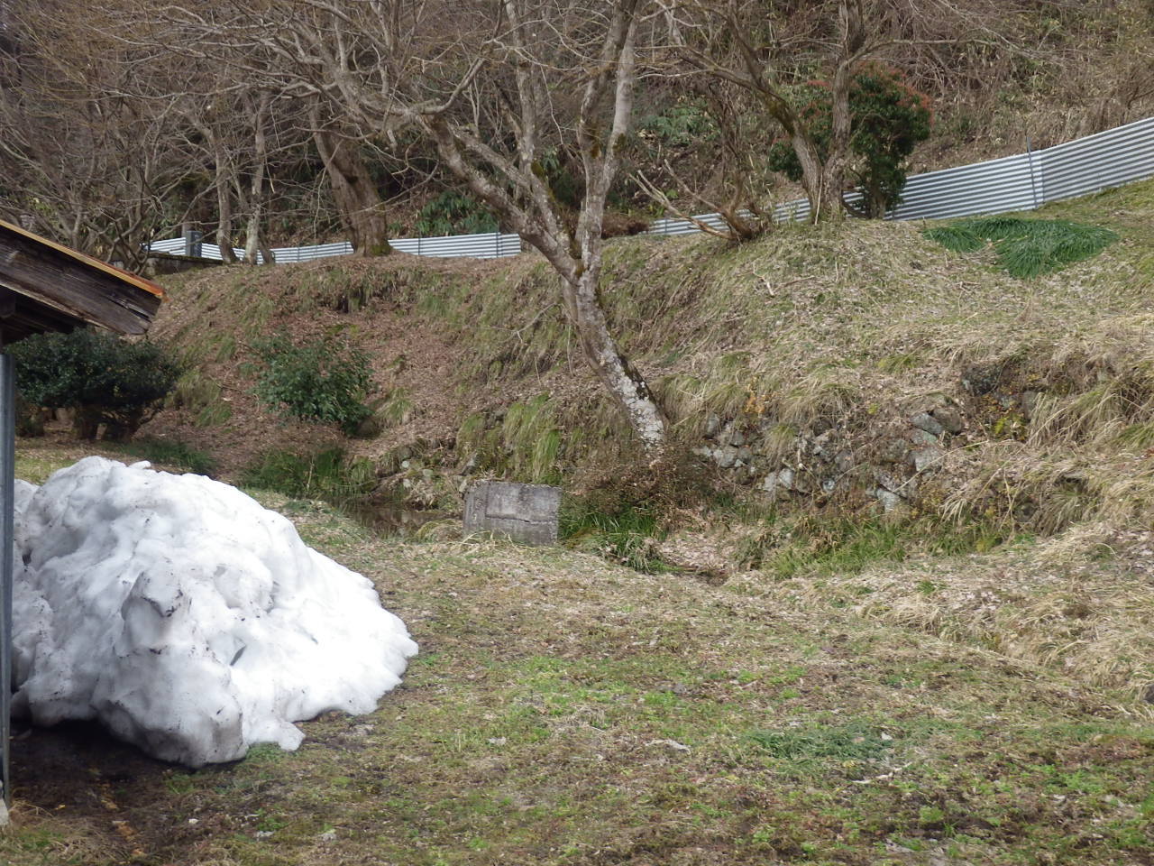 c0300035_15225200.jpg