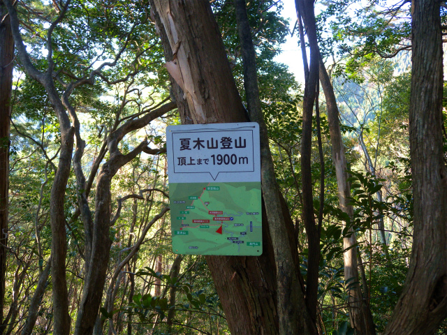 e0272335_202105.jpg