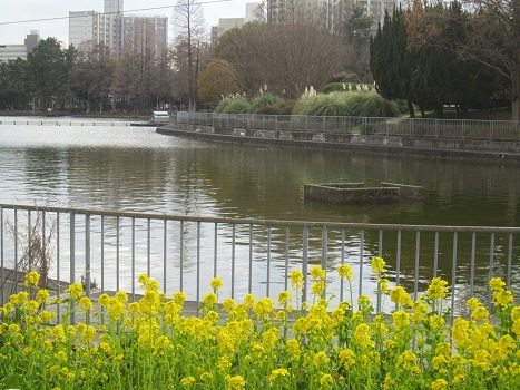 b0177436_17151212.jpg