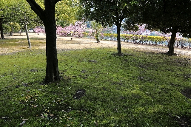 a0242438_20202614.jpg