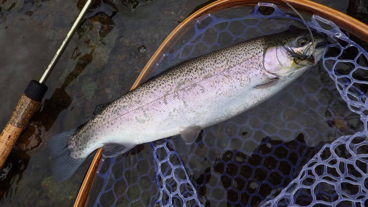 e0202845_15354811.jpg