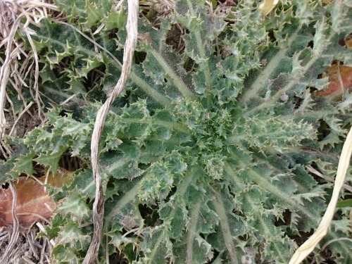 f0326946_00420552.jpg