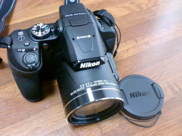 d0154954_14241343.jpg