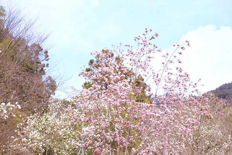 a0167759_1332819.jpg