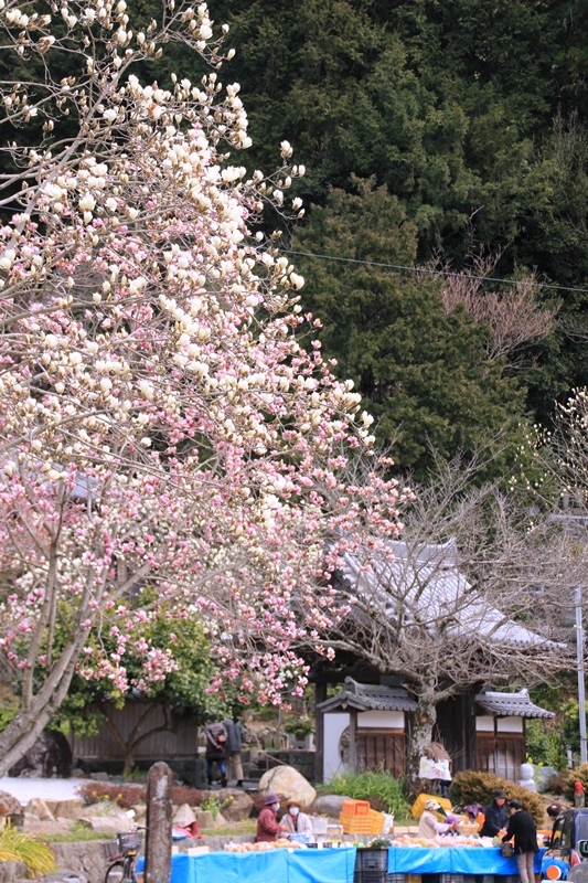a0167759_182286.jpg