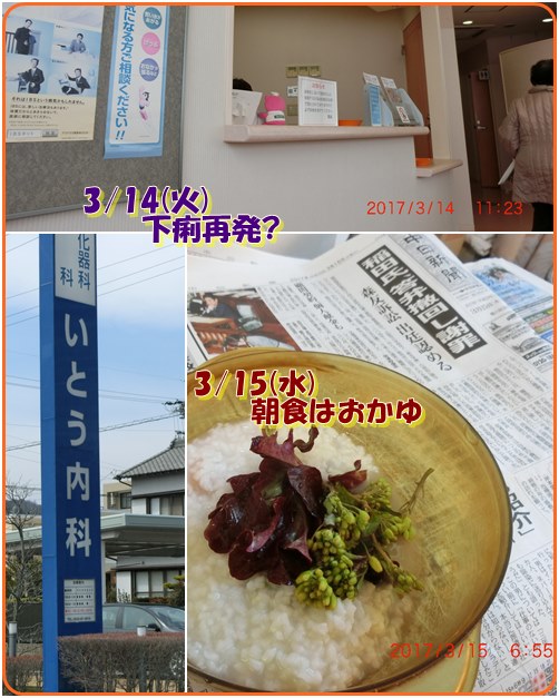 d0007071_16475780.jpg