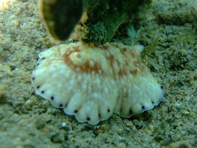 b0033573_22074269.jpg
