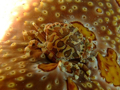 b0033573_22080359.jpg