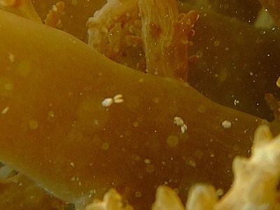b0033573_22190317.jpg