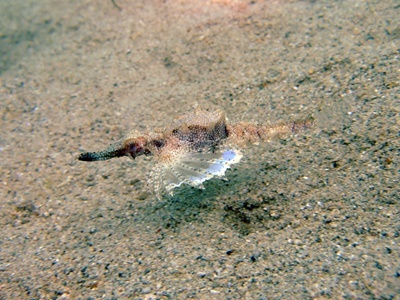 b0033573_22231337.jpg