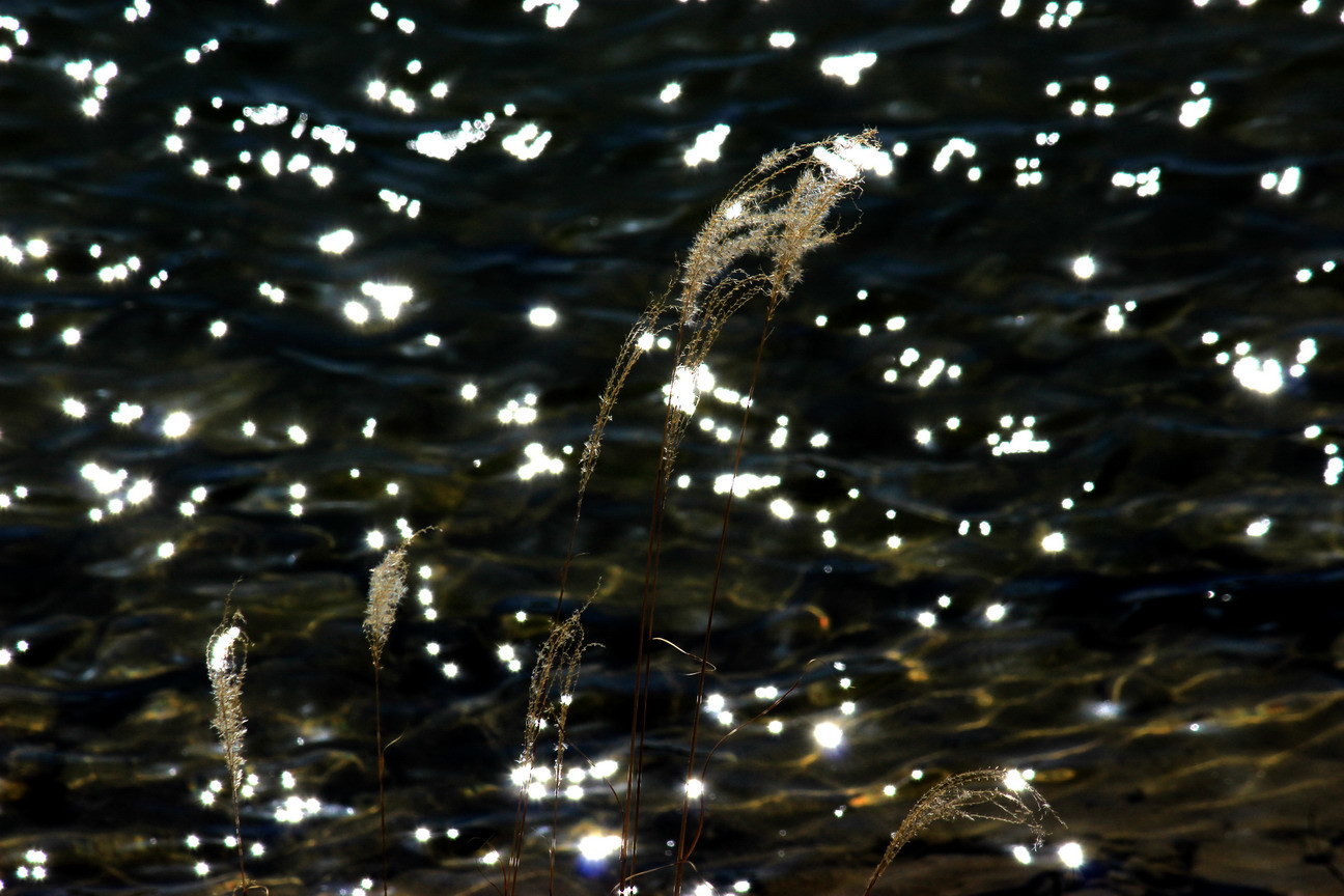 b0093678_17235291.jpg