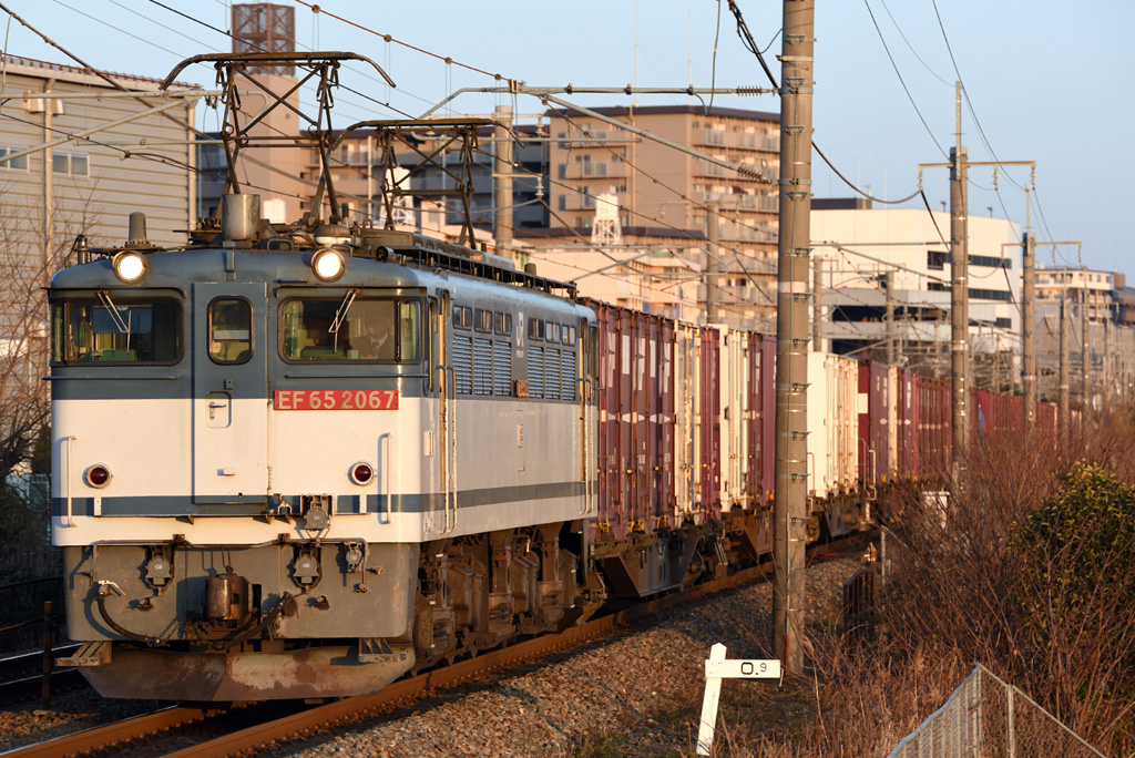 f0014380_1421866.jpg