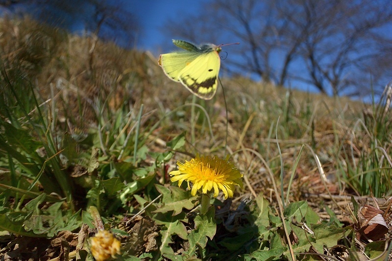 f0031682_10050331.jpg