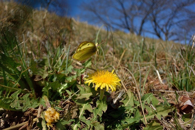 f0031682_10050381.jpg