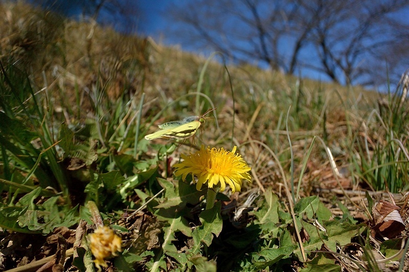 f0031682_10051109.jpg