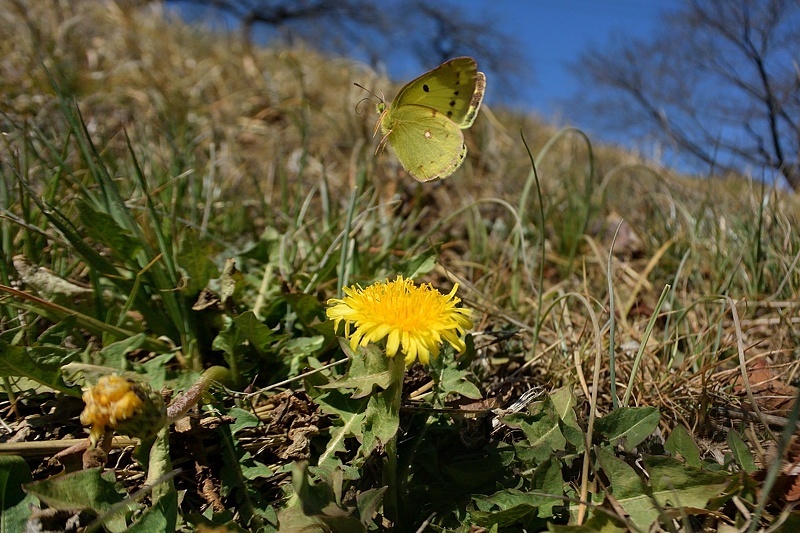 f0031682_10051165.jpg