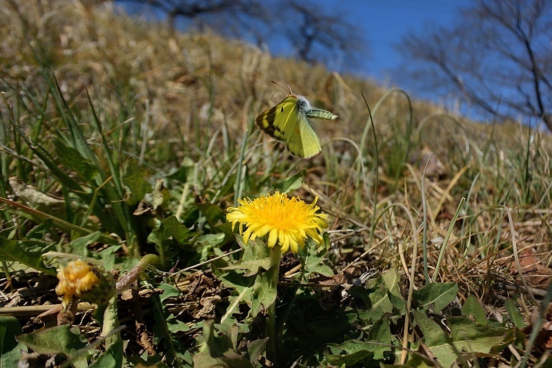 f0031682_10051171.jpg