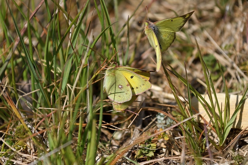 f0031682_10052466.jpg