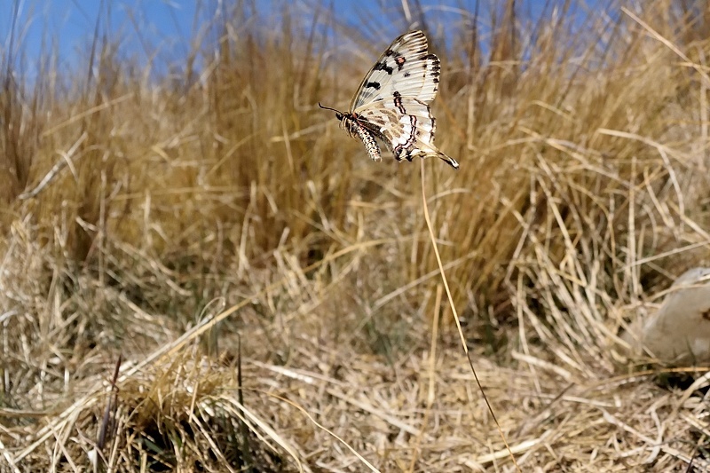 f0031682_10052524.jpg