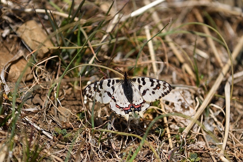 f0031682_10052574.jpg
