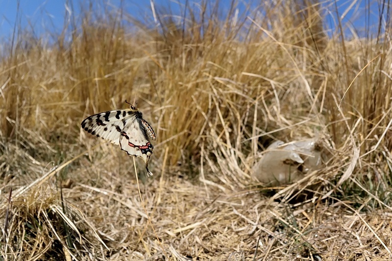 f0031682_10052597.jpg