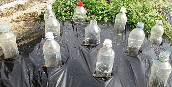 f0003283_20361634.jpg