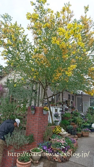 e0223684_21301479.jpg