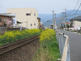 e0130185_18333750.jpg